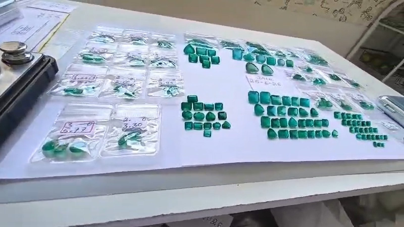 Gemas organizadas e identificadas durante processo técnico